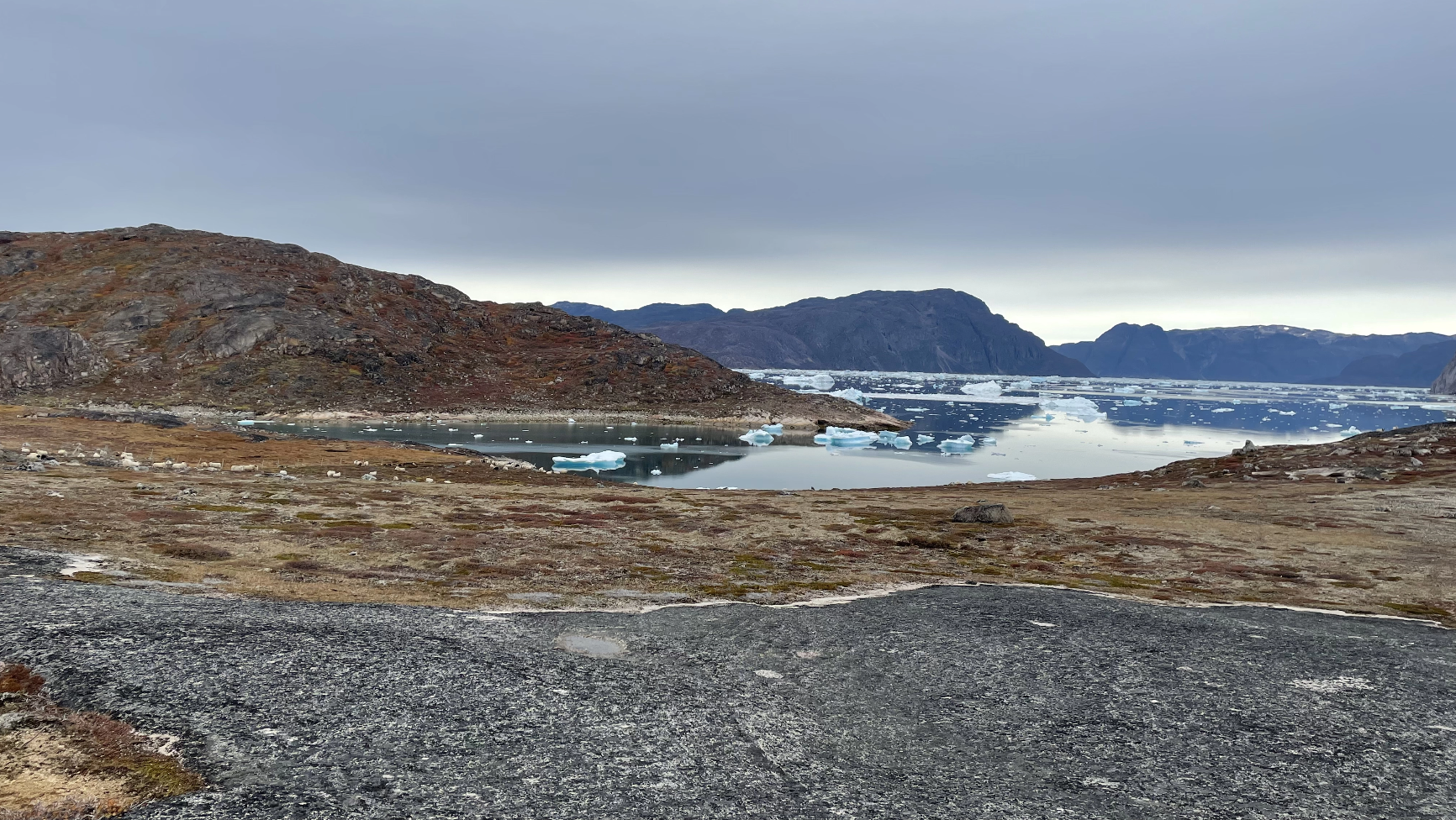 Swiss Polar Class PAMIR module released